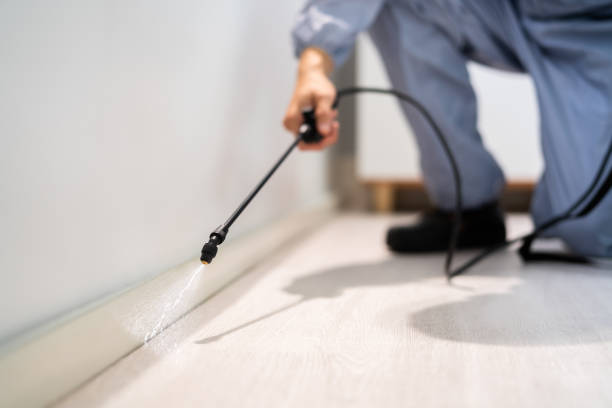 Licensed Termite Control service in Fort Calhoun, NE - Nex Pest Control