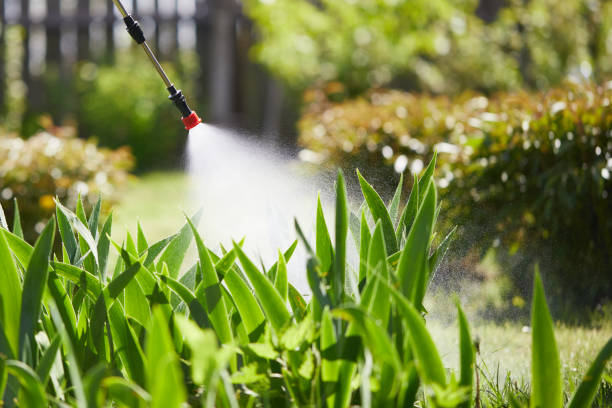 24/7 Emergency Termite Control experts in Fort Calhoun, NE