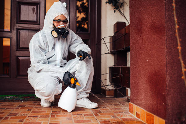 Reliable Termite Control contractor in Fort Calhoun, NE by Nex Pest Control