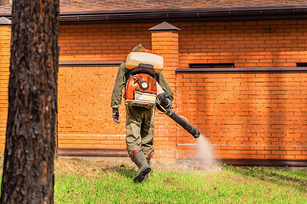 Trusted Cockroach Control service in Fort Calhoun, NE - Nex Pest Control